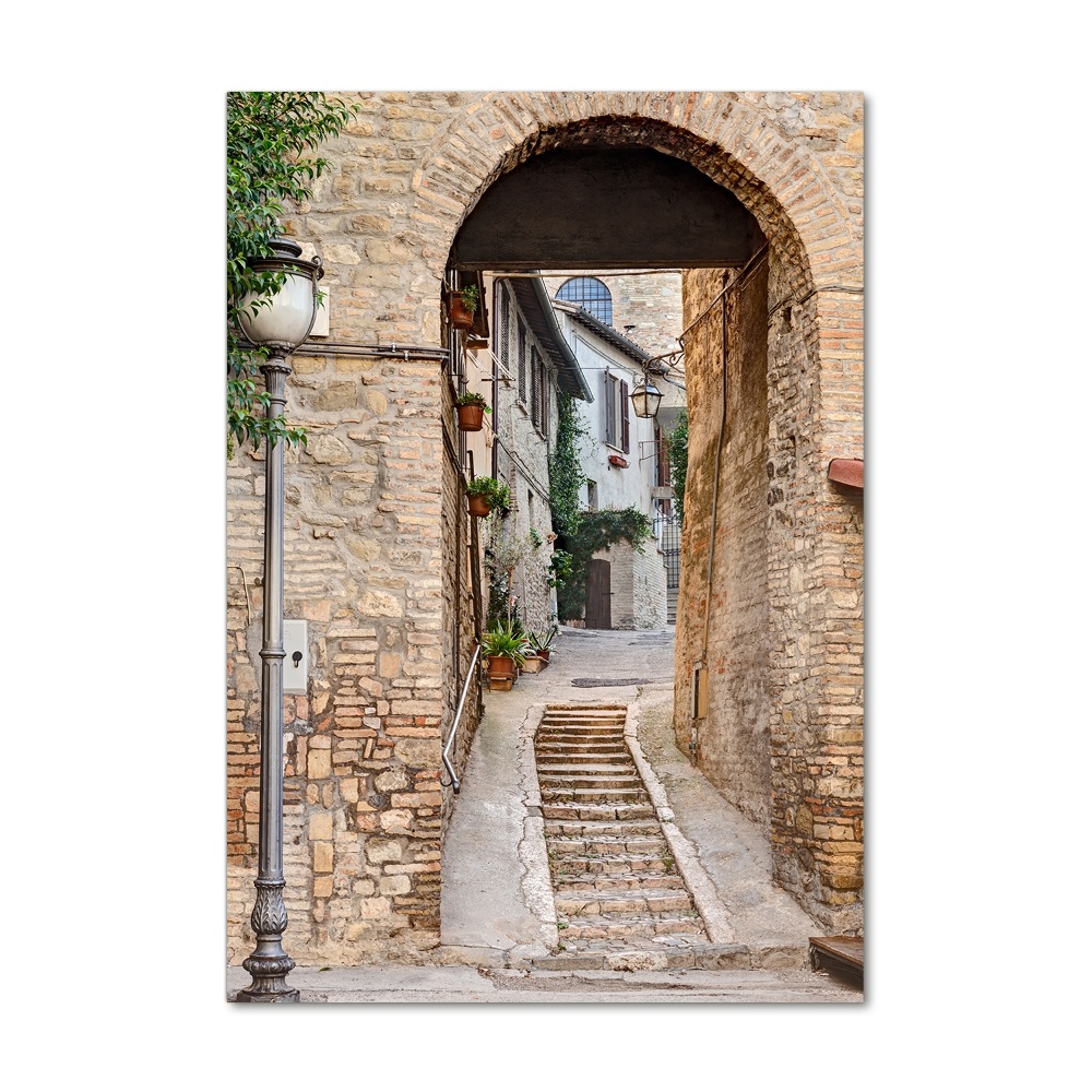 Vertikálny foto obraz fotografie na skle Talianske uličky