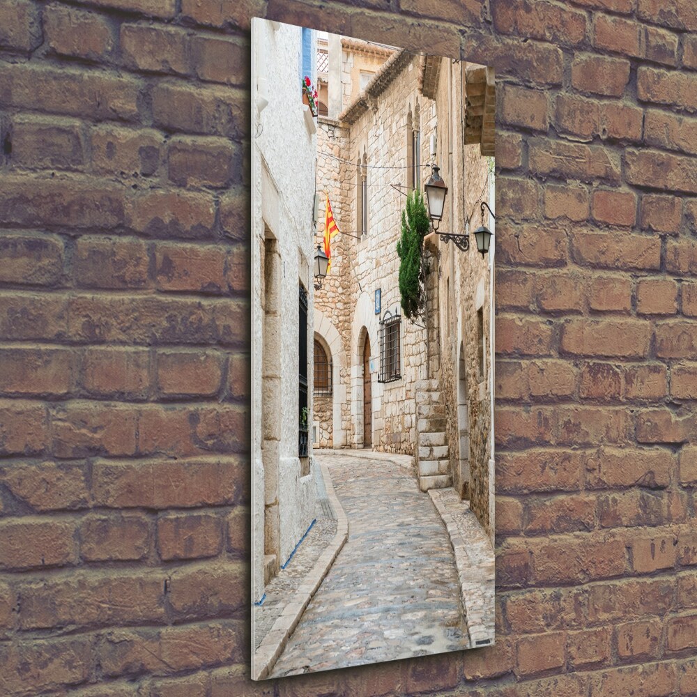 Vertikálny foto obraz sklo tvrdené Uličky v Španielsku