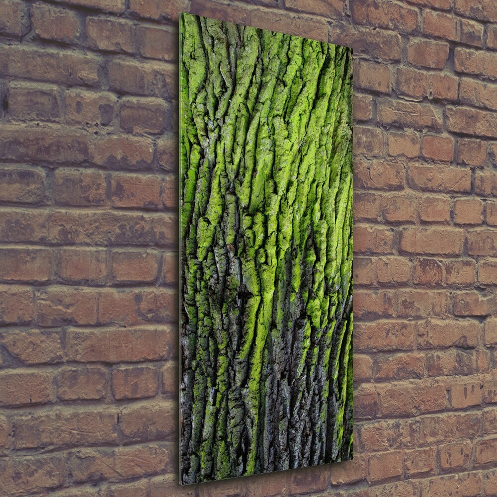 Vertikálny foto obraz sklenený Kôra stromu