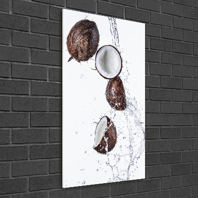 Vertikálny foto obraz sklo tvrdené Kokos