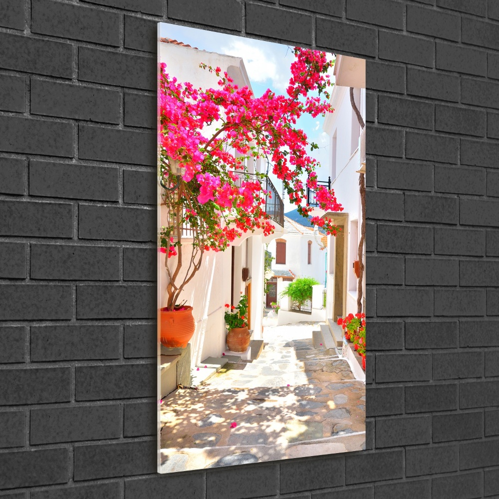 Vertikálny foto obraz fotografie na skle Grécke ulice
