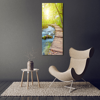 Vertikálny foto obraz fotografie na skle Chodník v lese