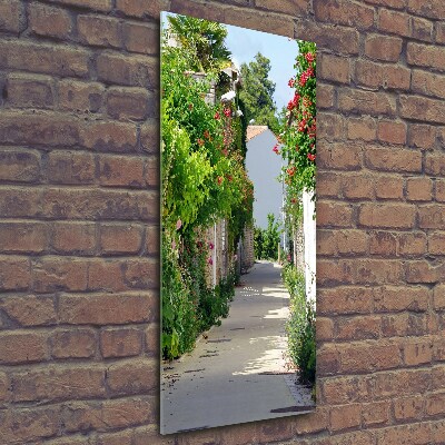 Vertikálny fotoobraz na skle Francúzske uličky