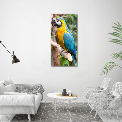 Vertikálny foto obraz sklo tvrdené Papagáj Ara