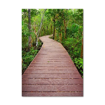 Vertikálny foto obraz sklo tvrdené Chodník v džungli