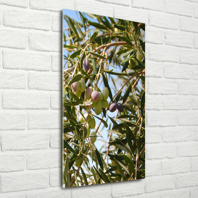 Vertikálny fotoobraz na skle Olivy na strome