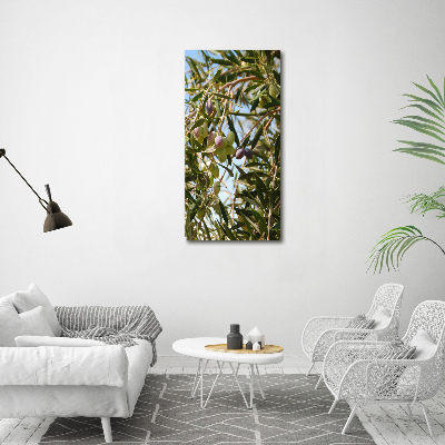 Vertikálny fotoobraz na skle Olivy na strome