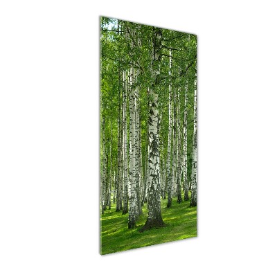 Vertikálny foto obraz sklo tvrdené Brezový les