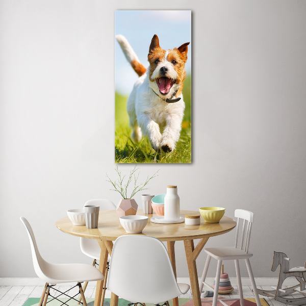 Vertikálny foto obraz sklo tvrdené Pes Jack Russell