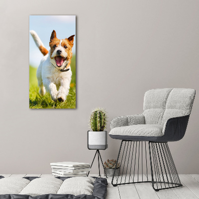 Vertikálny foto obraz sklo tvrdené Pes Jack Russell