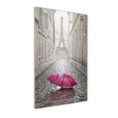 Vertikálny foto obraz sklenený Dáždnik Francúzsko