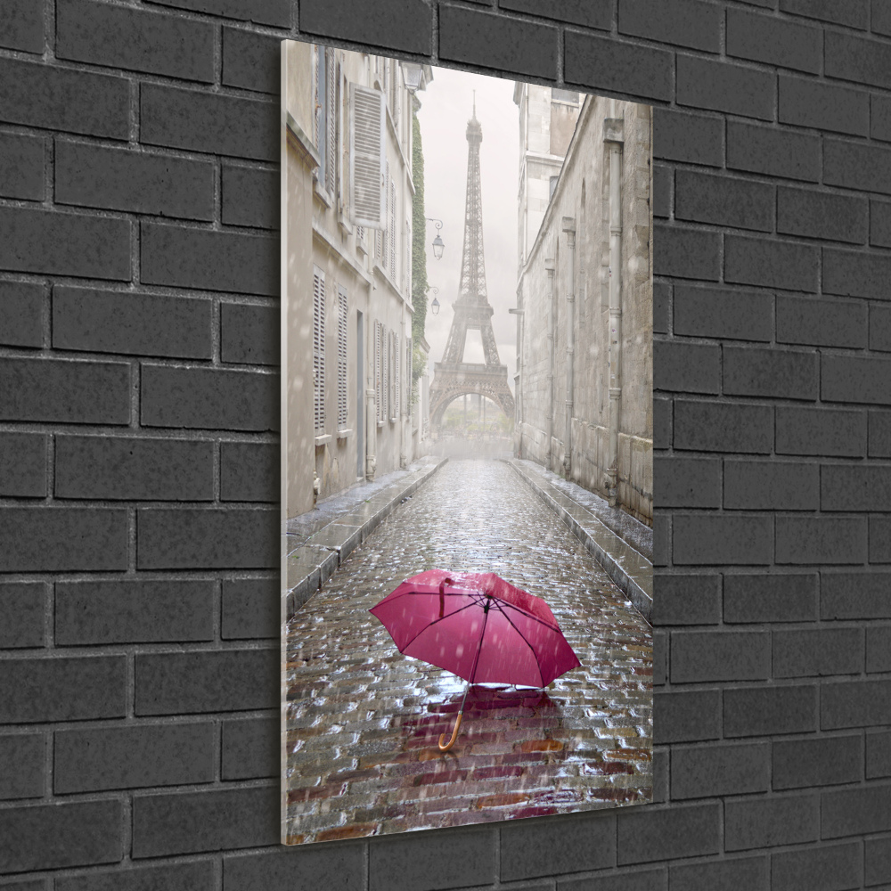 Vertikálny foto obraz sklenený Dáždnik Francúzsko