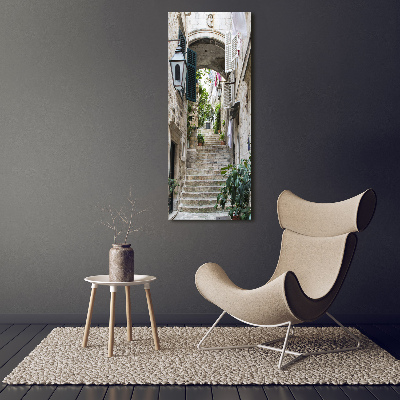 Vertikálny foto obraz sklenený Uličky Dubrovník