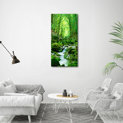 Vertikálny fotoobraz na skle Potok v džungli