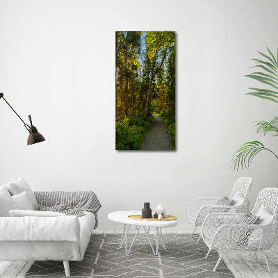 Vertikálny foto obraz sklenený Chodník v lese
