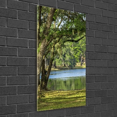 Vertikálny foto obraz sklo tvrdené Jazero v parku