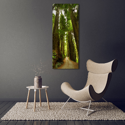 Vertikálny foto obraz sklenený Chodník v lese