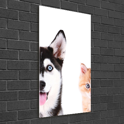 Vertikálny foto obraz sklo tvrdené Pes a mačka