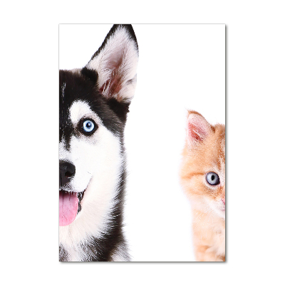 Vertikálny foto obraz sklo tvrdené Pes a mačka