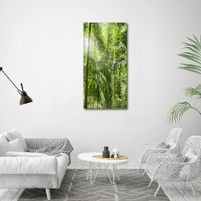 Vertikálny foto obraz sklenený Dažďový prales