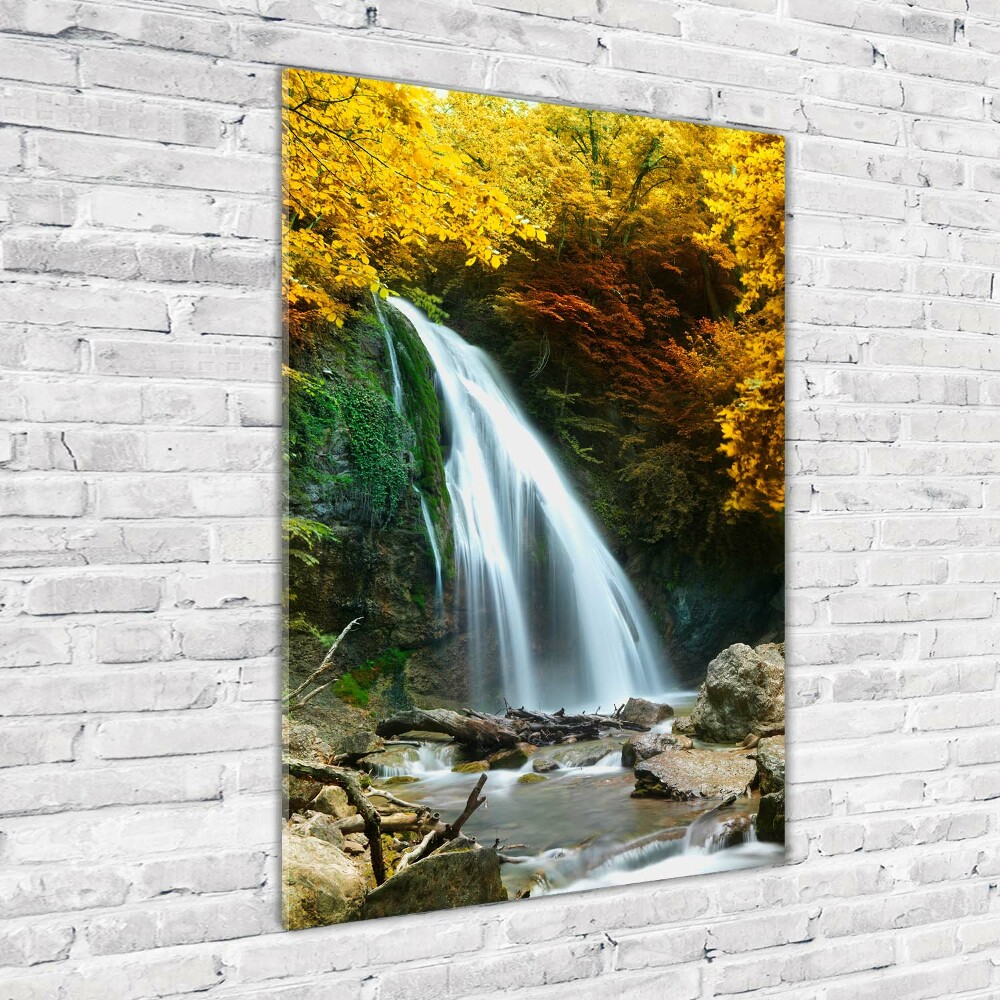 Vertikálny foto obraz fotografie na skle Vodopád v lese