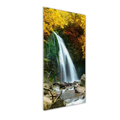 Vertikálny foto obraz fotografie na skle Vodopád v lese
