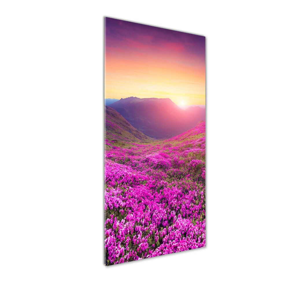 Vertikálny foto obraz sklenený Hory rododendrom