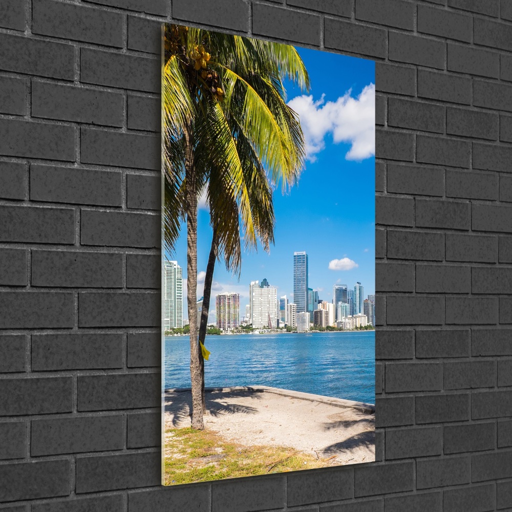 Vertikálny foto obraz fotografie na skle Miami