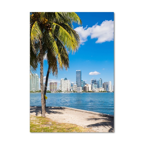 Vertikálny foto obraz fotografie na skle Miami