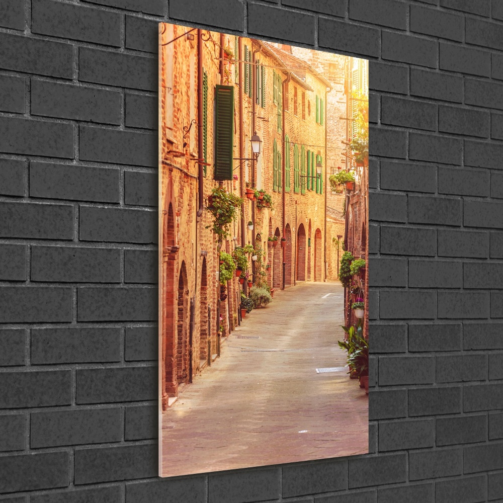 Vertikálny foto obraz sklo tvrdené Talianske uličky