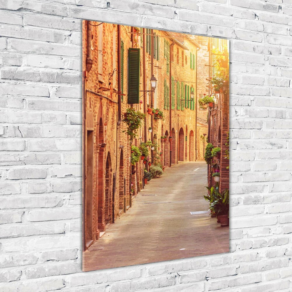 Vertikálny foto obraz sklo tvrdené Talianske uličky