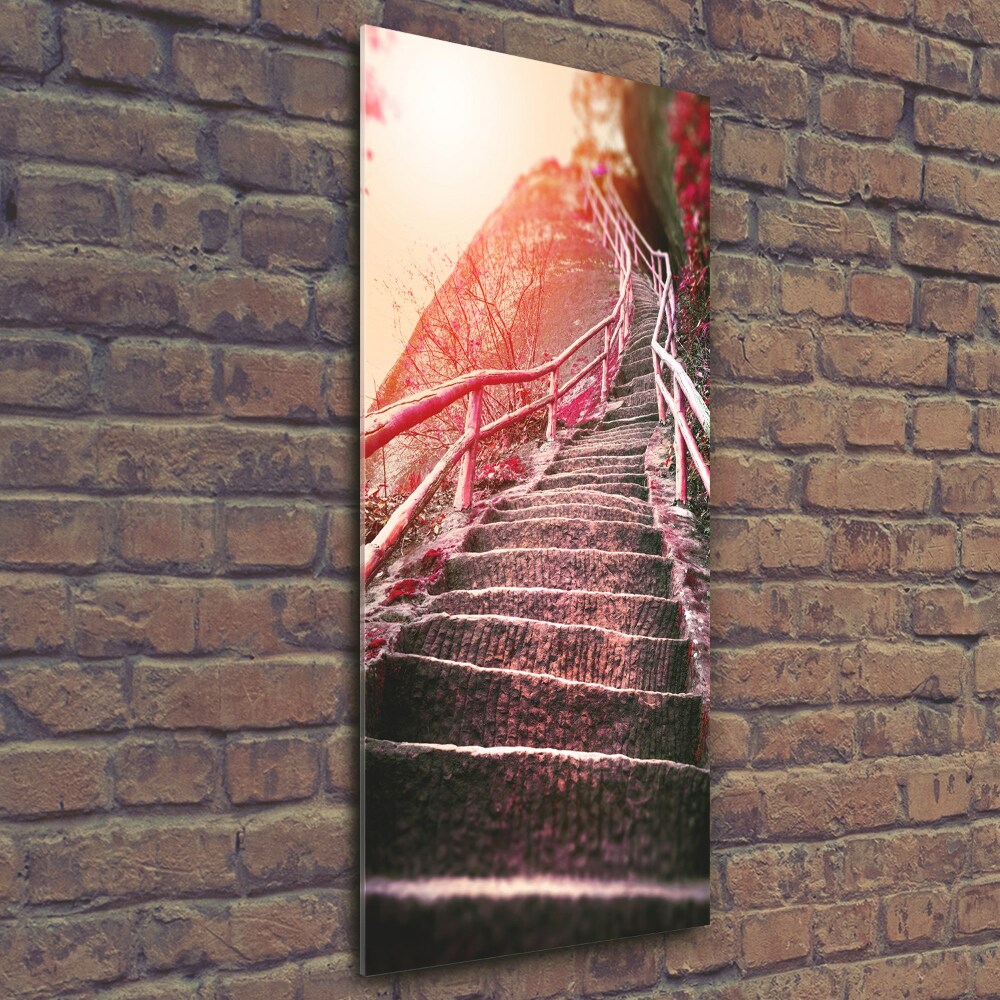 Vertikálny foto obraz sklenený Schody v horách