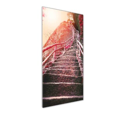 Vertikálny foto obraz sklenený Schody v horách