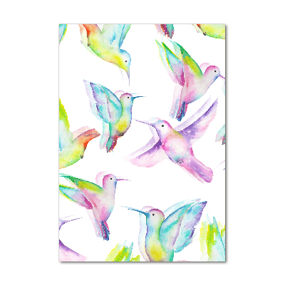 Vertikálny foto obraz sklo tvrdené Farební kolibríky