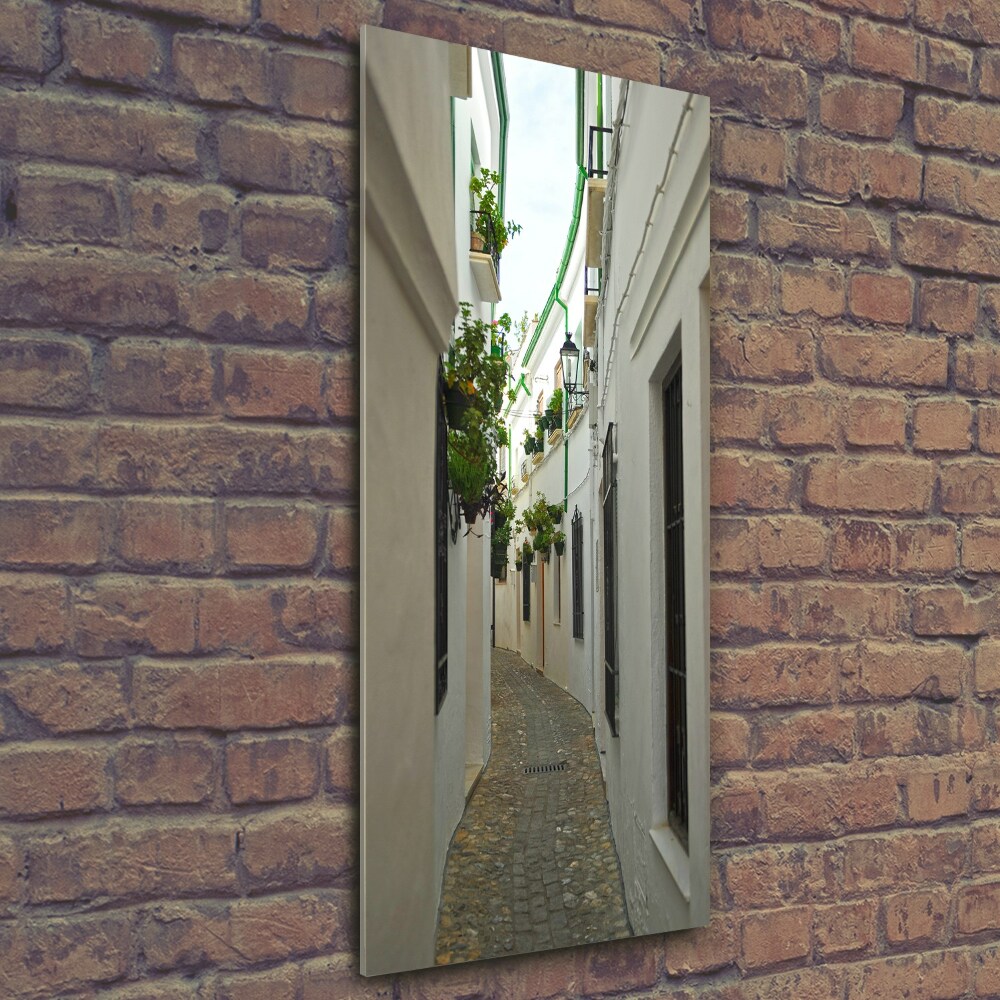Vertikálny foto obraz sklo tvrdené Uličky Andalúzie