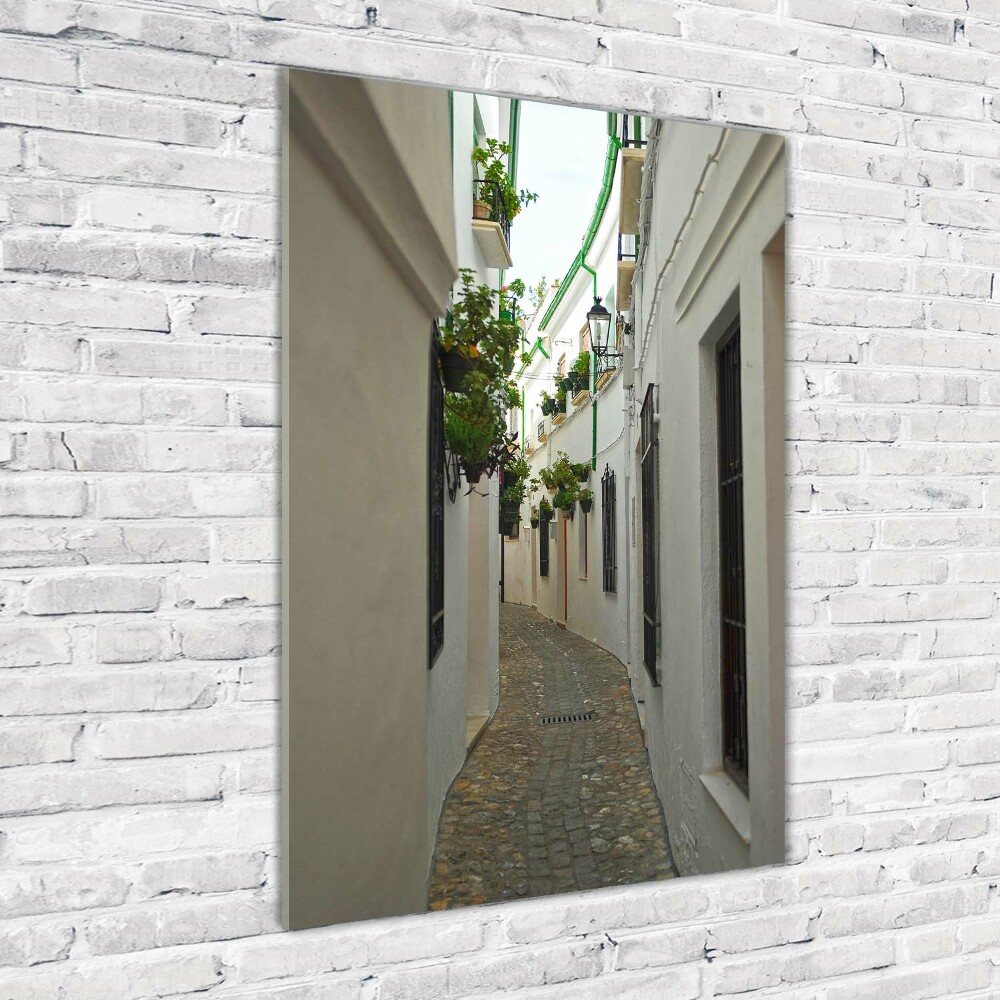 Vertikálny foto obraz sklo tvrdené Uličky Andalúzie