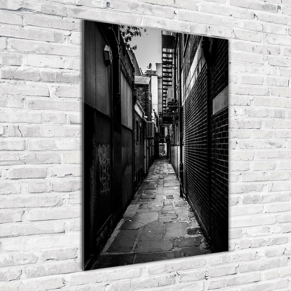 Vertikálny foto obraz sklenený Mestské ulice