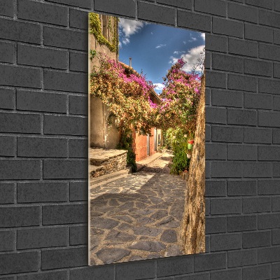 Vertikálny foto obraz sklenený Francúzske uličky
