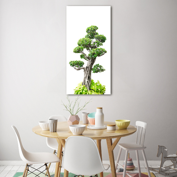 Vertikálny foto obraz sklo tvrdené Bonsai