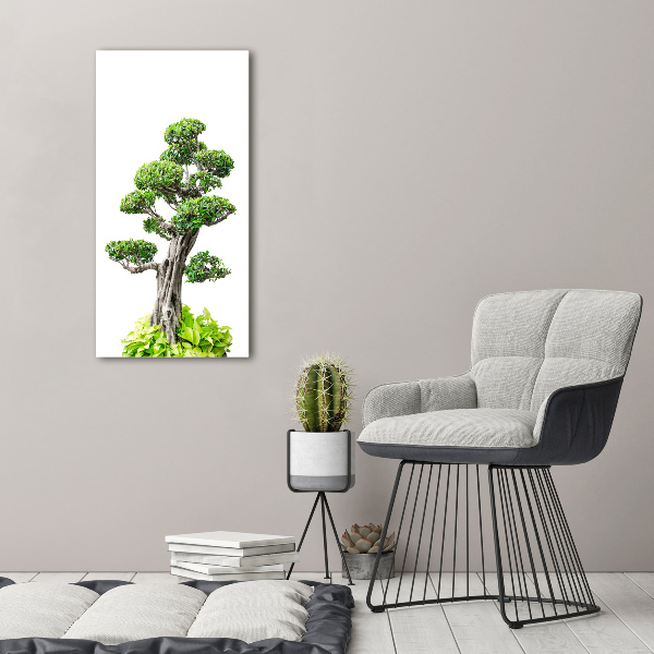 Vertikálny foto obraz sklo tvrdené Bonsai