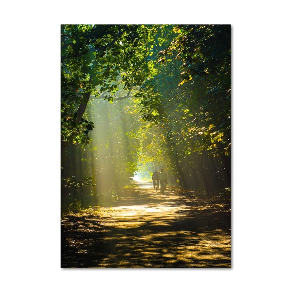 Vertikálny fotoobraz na skle Chodník v lese