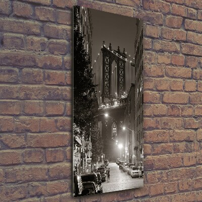 Vertikálny foto obraz sklenený Manhatttan Nový York