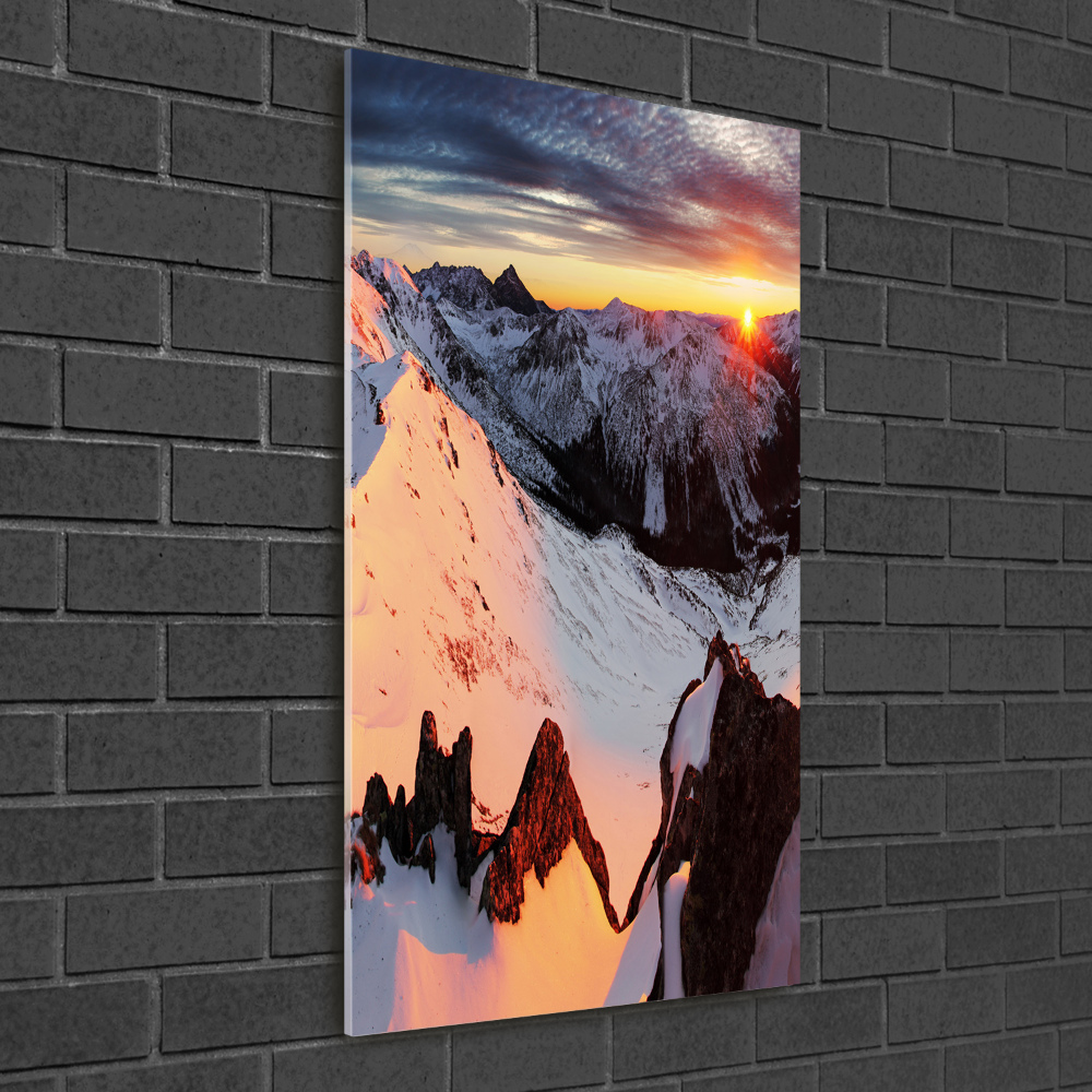 Vertikálny foto obraz sklenený Hory zima