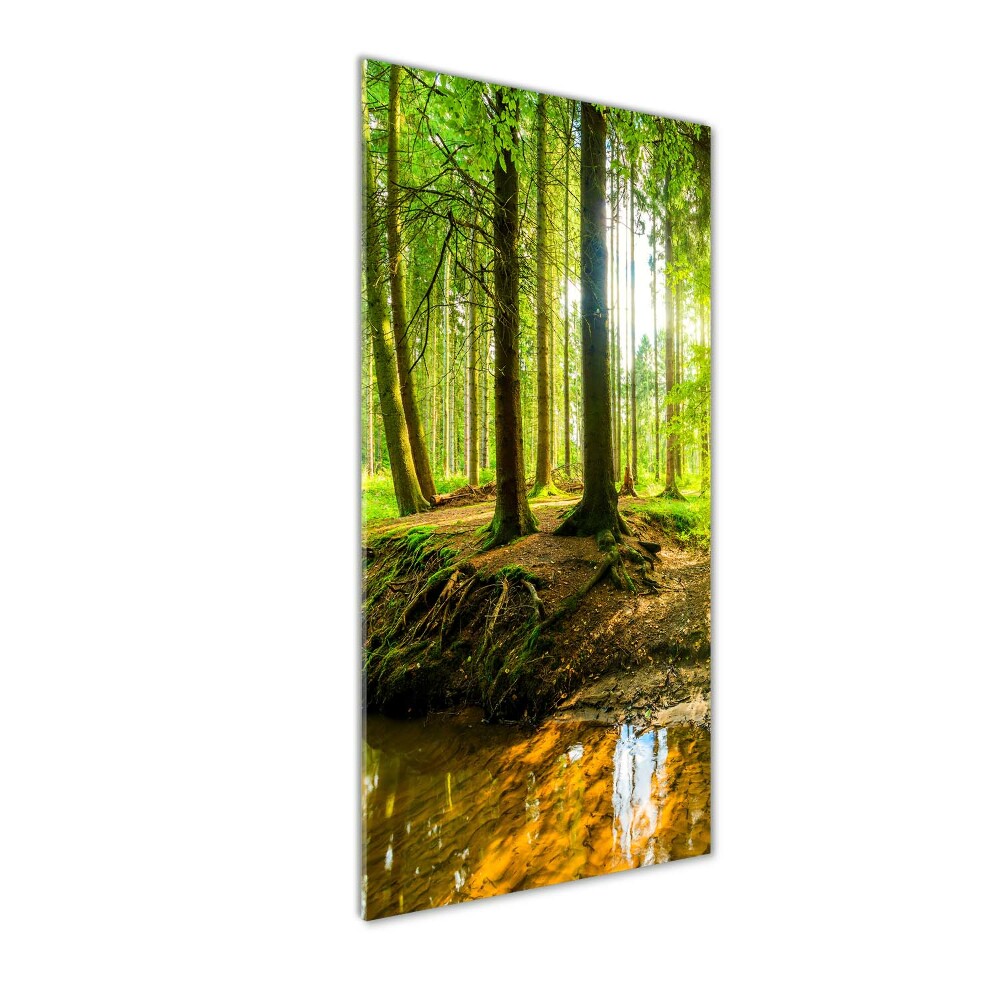 Vertikálny foto obraz fotografie na skle Prameň v lese
