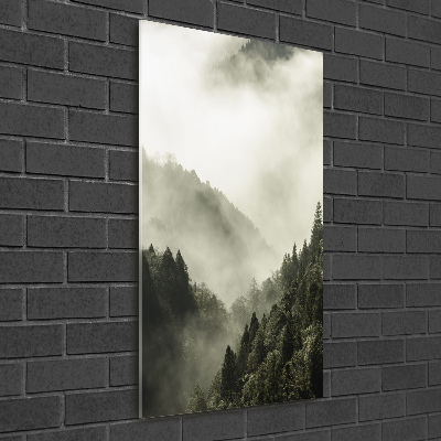 Vertikálny foto obraz sklenený Hmla nad lesom