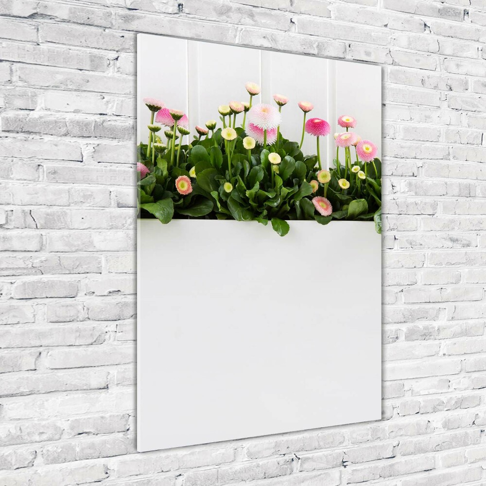 Vertikálny foto obraz fotografie na skle Ružové sedmokrásky