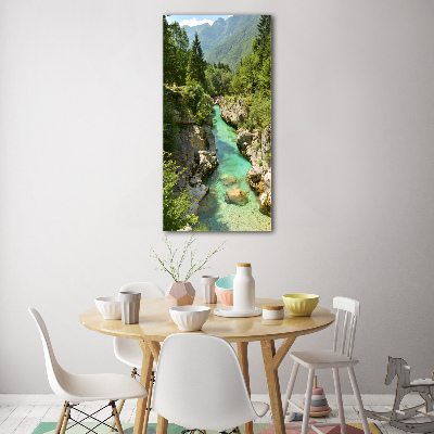 Vertikálny fotoobraz na skle Horský potok