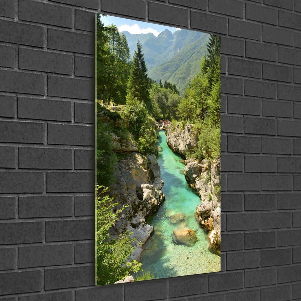 Vertikálny fotoobraz na skle Horský potok