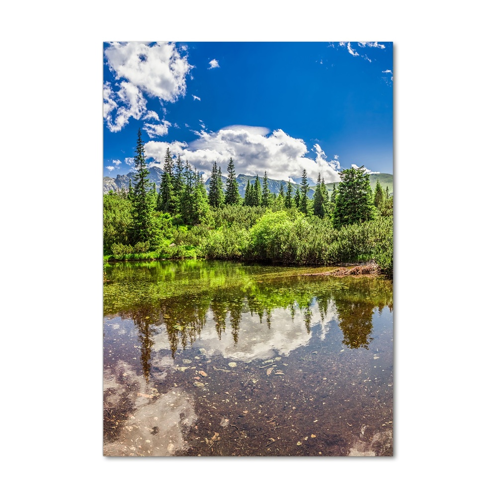 Vertikálny foto obraz sklo tvrdené Jazero v horách