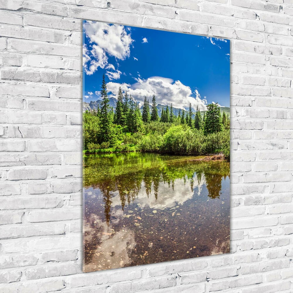 Vertikálny foto obraz sklo tvrdené Jazero v horách